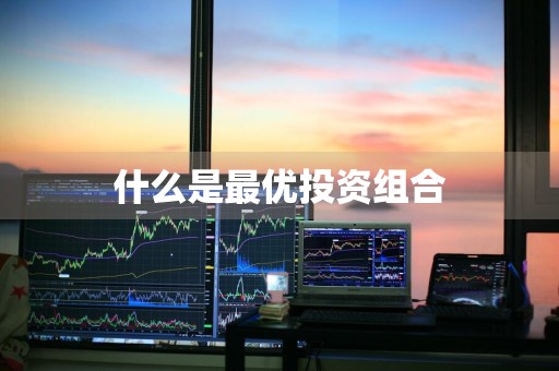 什么是最优投资组合