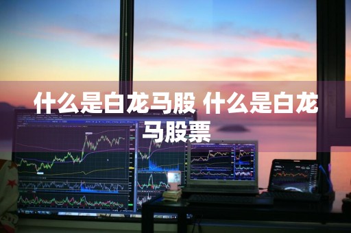 什么是白龙马股 什么是白龙马股票