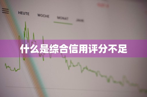什么是综合信用评分不足