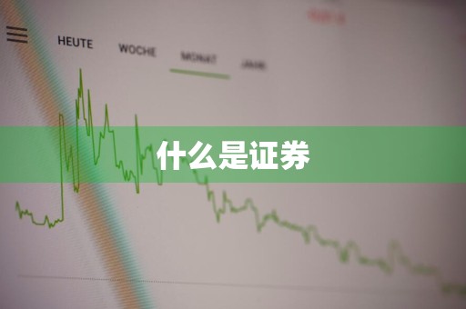 什么是证券