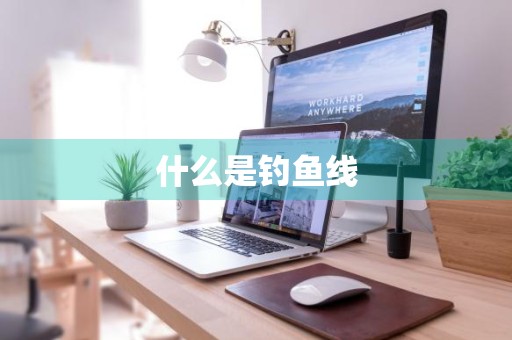 什么是钓鱼线