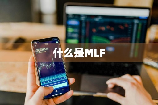 什么是MLF