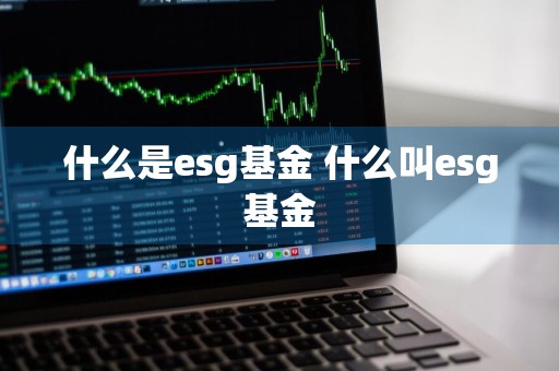 什么是esg基金 什么叫esg基金