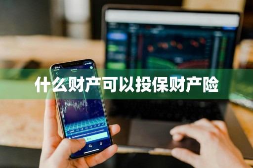什么财产可以投保财产险