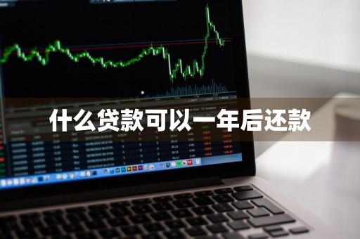 什么贷款可以一年后还款