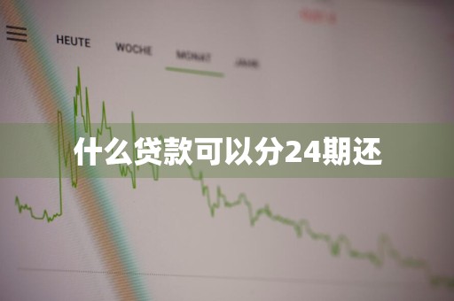 什么贷款可以分24期还