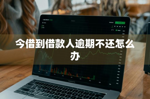 今借到借款人逾期不还怎么办