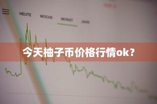 今天柚子币价格行情ok？