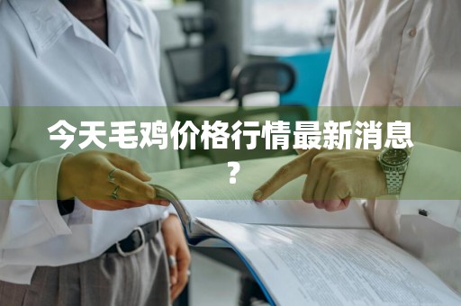 今天毛鸡价格行情最新消息？