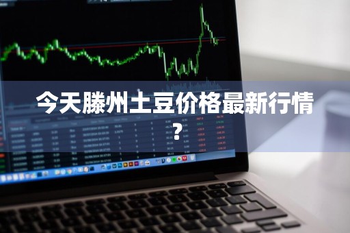今天滕州土豆价格最新行情？