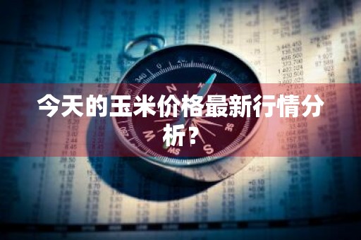 今天的玉米价格最新行情分析？