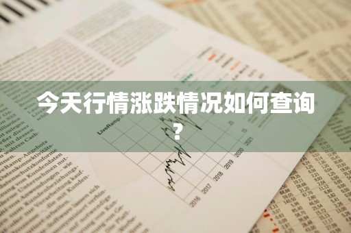 今天行情涨跌情况如何查询？