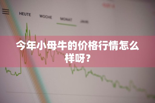 今年小母牛的价格行情怎么样呀？