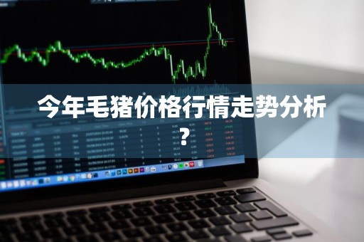 今年毛猪价格行情走势分析？