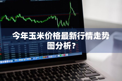 今年玉米价格最新行情走势图分析？
