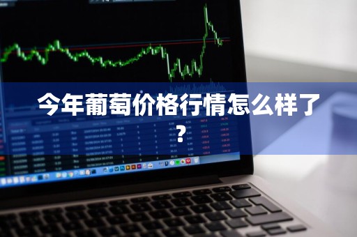 今年葡萄价格行情怎么样了？