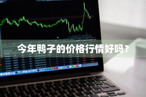 今年鸭子的价格行情好吗？
