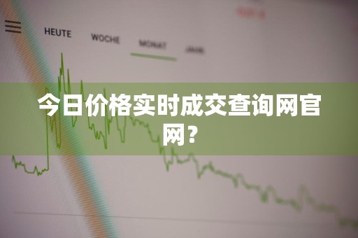今日价格实时成交查询网官网？