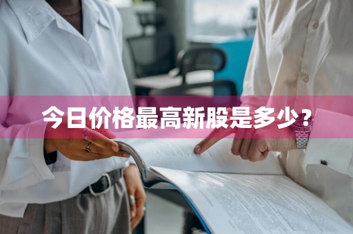 今日价格最高新股是多少？