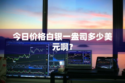 今日价格白银一盎司多少美元啊？