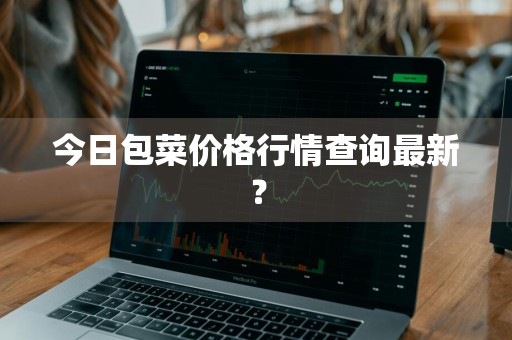 今日包菜价格行情查询最新？