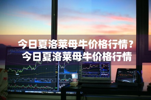 今日夏洛莱母牛价格行情？ 今日夏洛莱母牛价格行情
