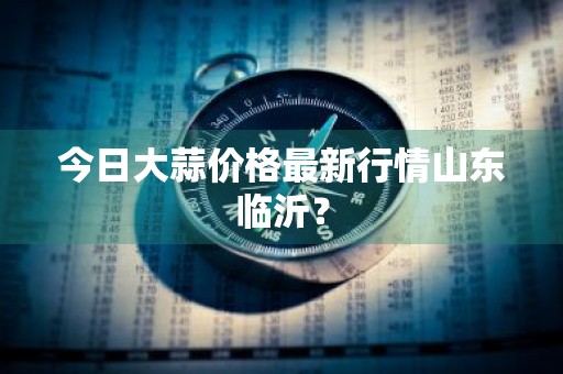 今日大蒜价格最新行情山东临沂？