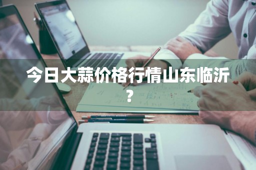 今日大蒜价格行情山东临沂？