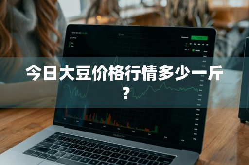 今日大豆价格行情多少一斤？