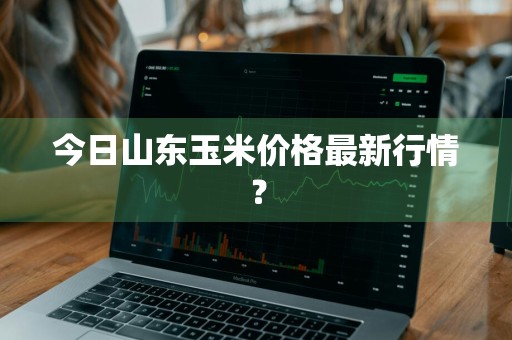 今日山东玉米价格最新行情?