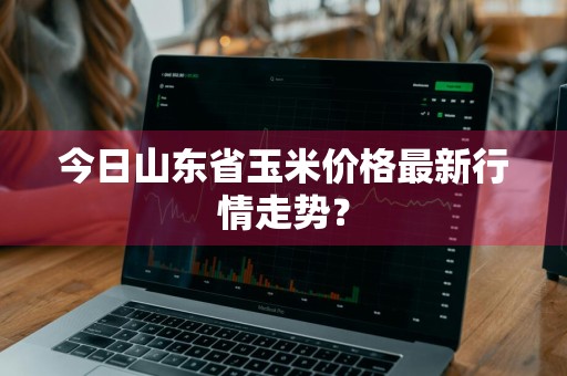 今日山东省玉米价格最新行情走势？