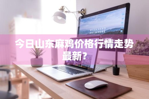 今日山东麻鸡价格行情走势最新？