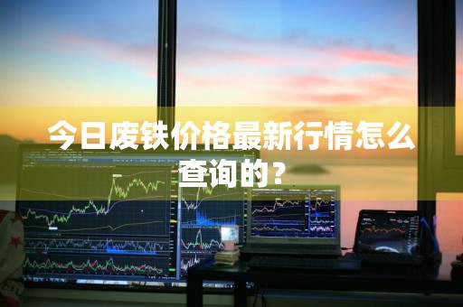 今日废铁价格最新行情怎么查询的？