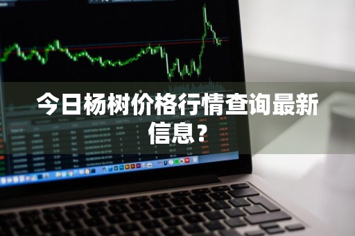 今日杨树价格行情查询最新信息？