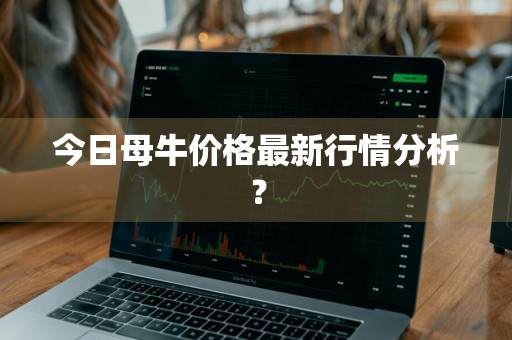今日母牛价格最新行情分析？