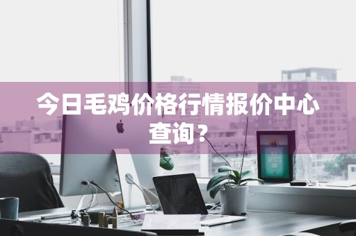 今日毛鸡价格行情报价中心查询？