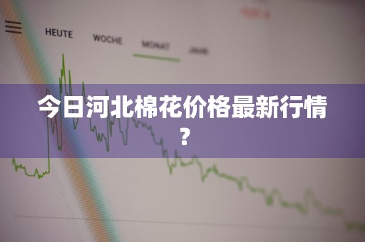 今日河北棉花价格最新行情？