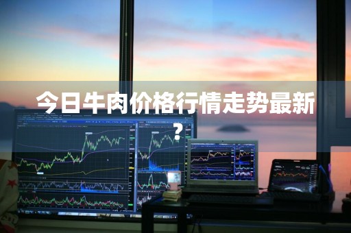 今日牛肉价格行情走势最新？