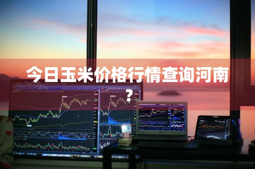 今日玉米价格行情查询河南？