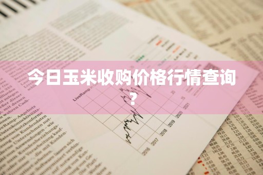 今日玉米收购价格行情查询？