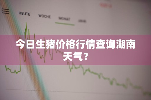 今日生猪价格行情查询湖南天气？