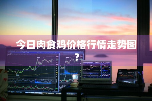 今日肉食鸡价格行情走势图？
