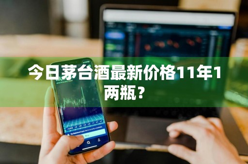 今日茅台酒最新价格11年1两瓶？