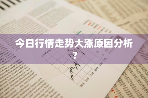 今日行情走势大涨原因分析？