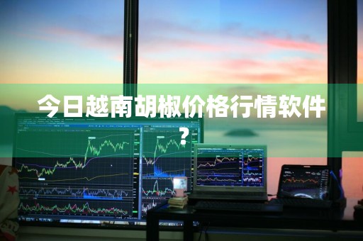 今日越南胡椒价格行情软件？