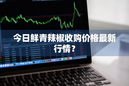 今日鲜青辣椒收购价格最新行情?