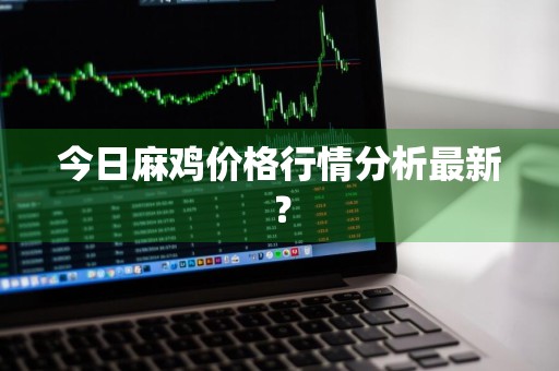今日麻鸡价格行情分析最新？