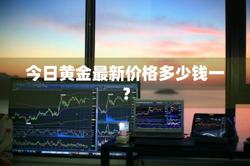 今日黄金最新价格多少钱一？