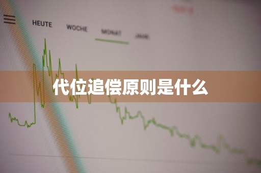 代位追偿原则是什么