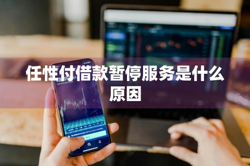 任性付借款暂停服务是什么原因